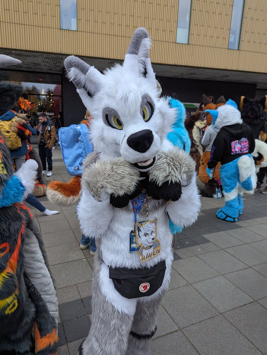 ❄️🦊Räven 🔜 FWA tweet media