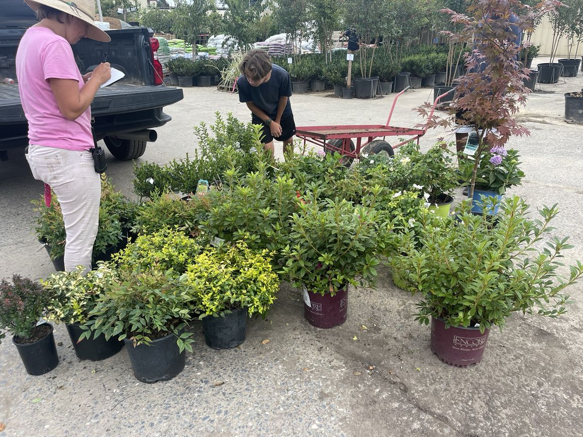 CastilloLandSrv's tweet image. We specialize in thoughtful plant design that highlights every corner of your yard. From bold centerpieces to subtle accents, we make it flow. Contact us today for a design consultation! #PlantingDesign
frederickhardscaping.com