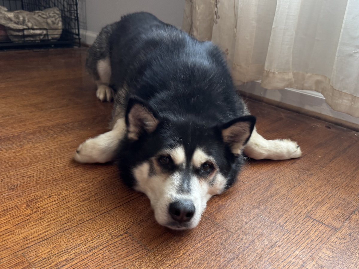 Gretchen Winter, MD 🌼 (Warning: Feral) tweet media