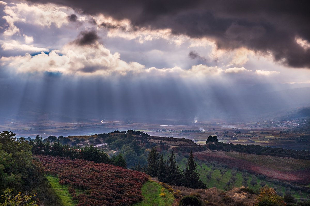 Stuart Litoff tweet media