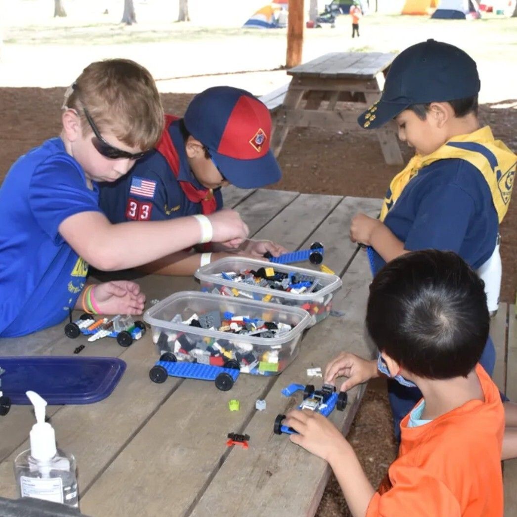 CapitolAreaBSA tweet media