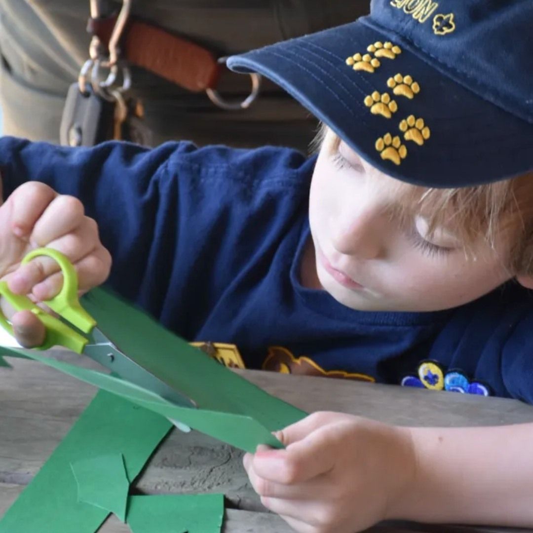 CapitolAreaBSA tweet media