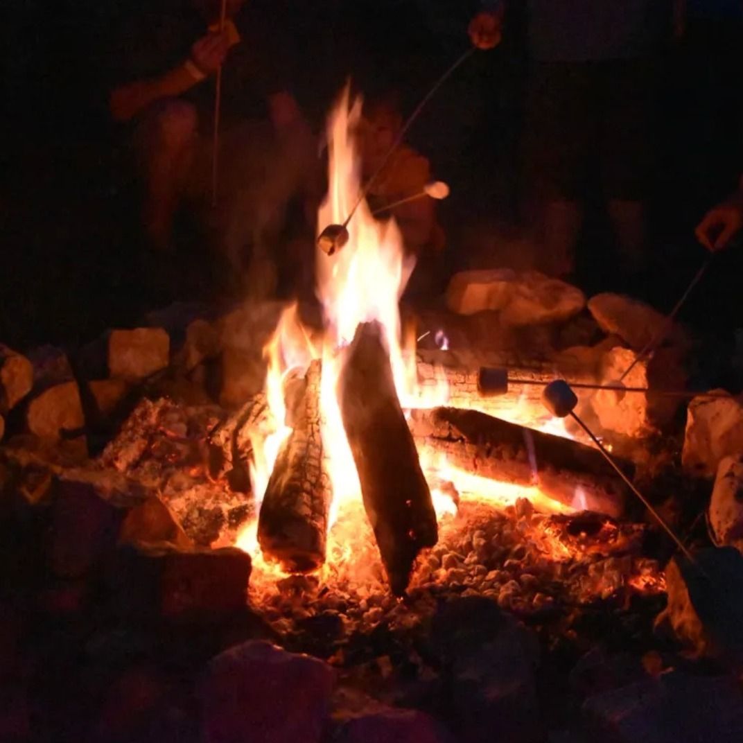 CapitolAreaBSA tweet media