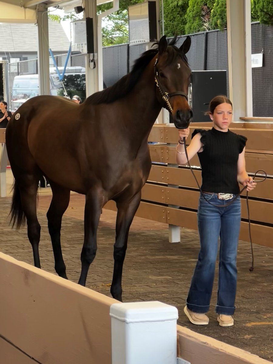 Fasig-Tipton tweet media