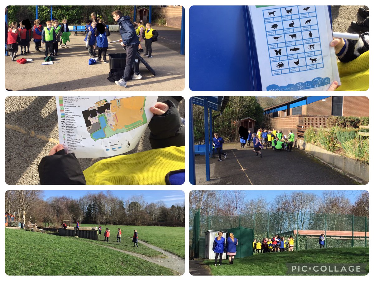 Gorsewood Primary tweet media