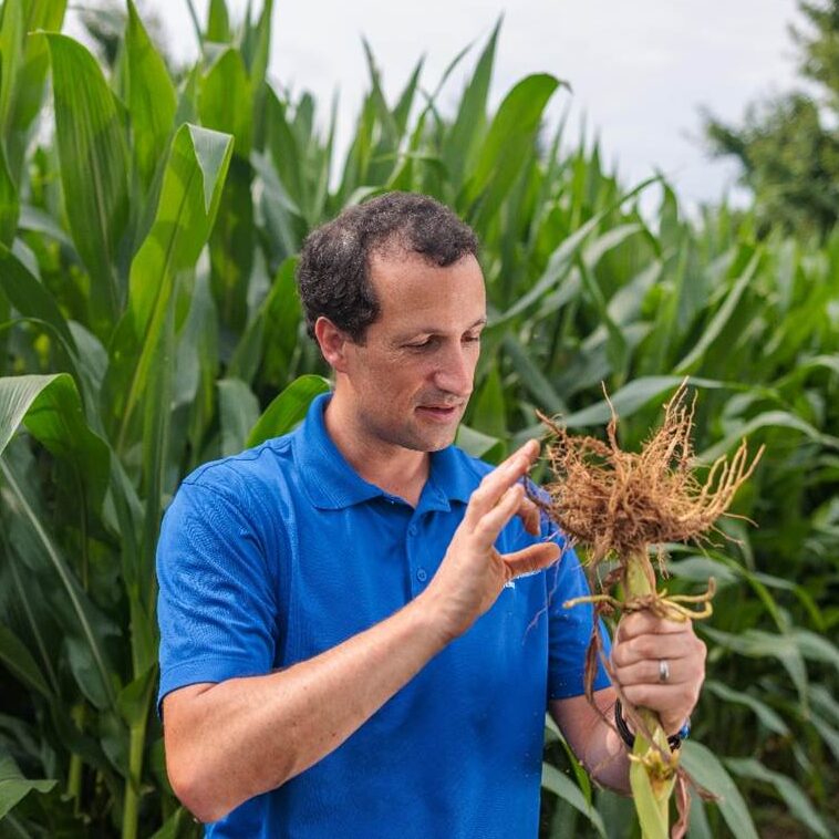 Physiological Entomology tweet media