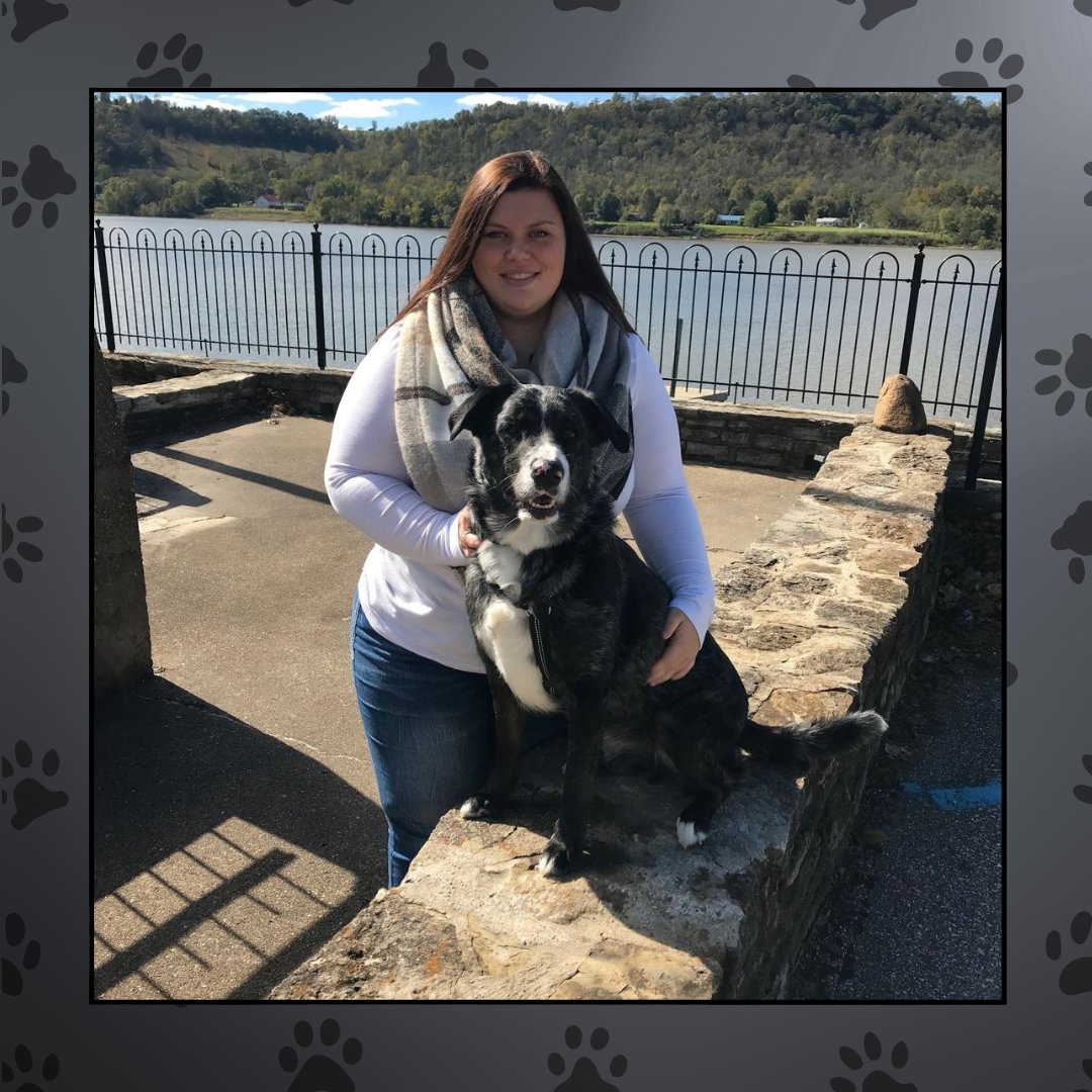 BulletproofDog_'s tweet photo. Therapy dog training programs are more than just commands—they're about creating calm, reliable companions. Message us today to learn more! #TherapyDogTraining
https://t.co/LngVjlkiIN https://t.co/8C8ZYvA9Aj