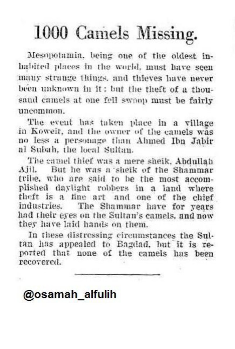 مسلط الويباري tweet media