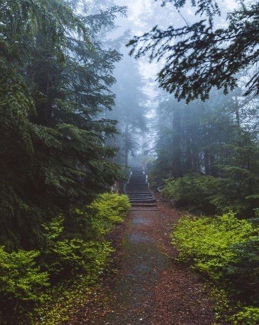 Mastermind. tweet media