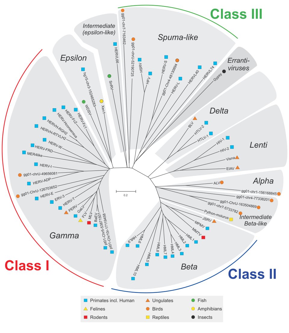 Basic Heresy tweet media