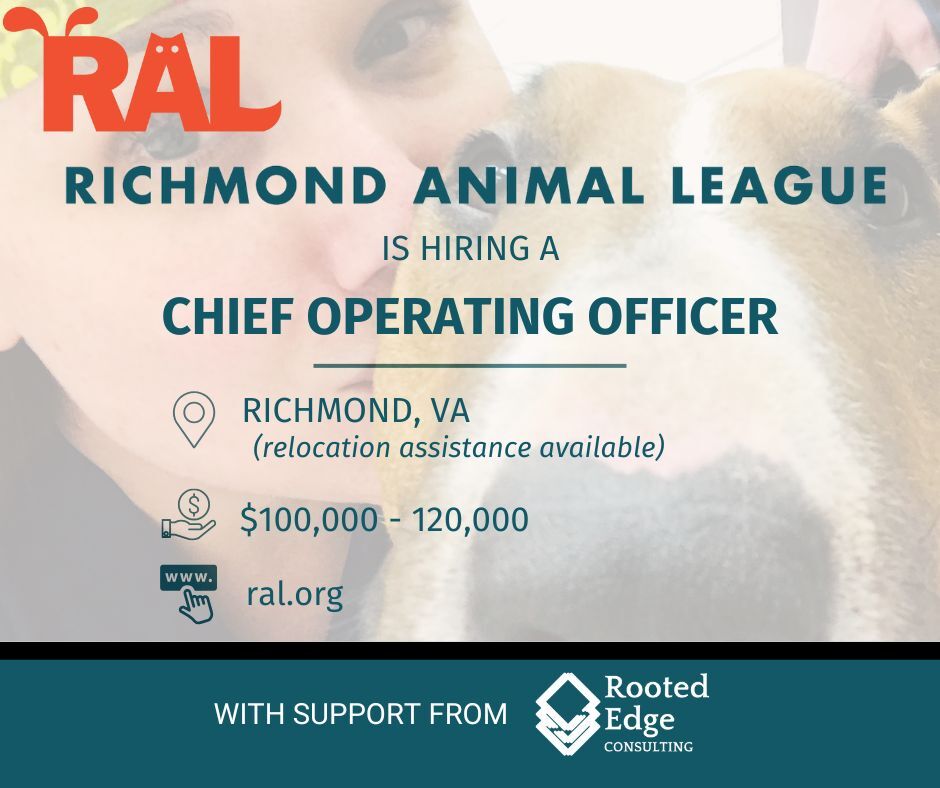 WordSpark Consulting tweet media