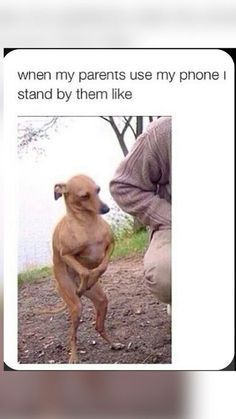 FBI HAYATO (@fbi_hayato) on Twitter photo 