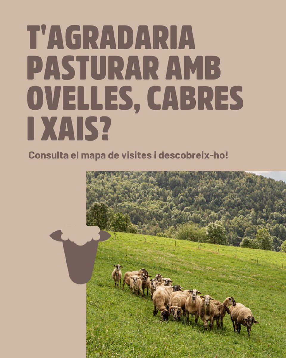 Benvinguts a Pagès tweet media