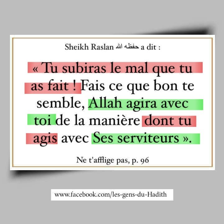 moussa_tawhid tweet media