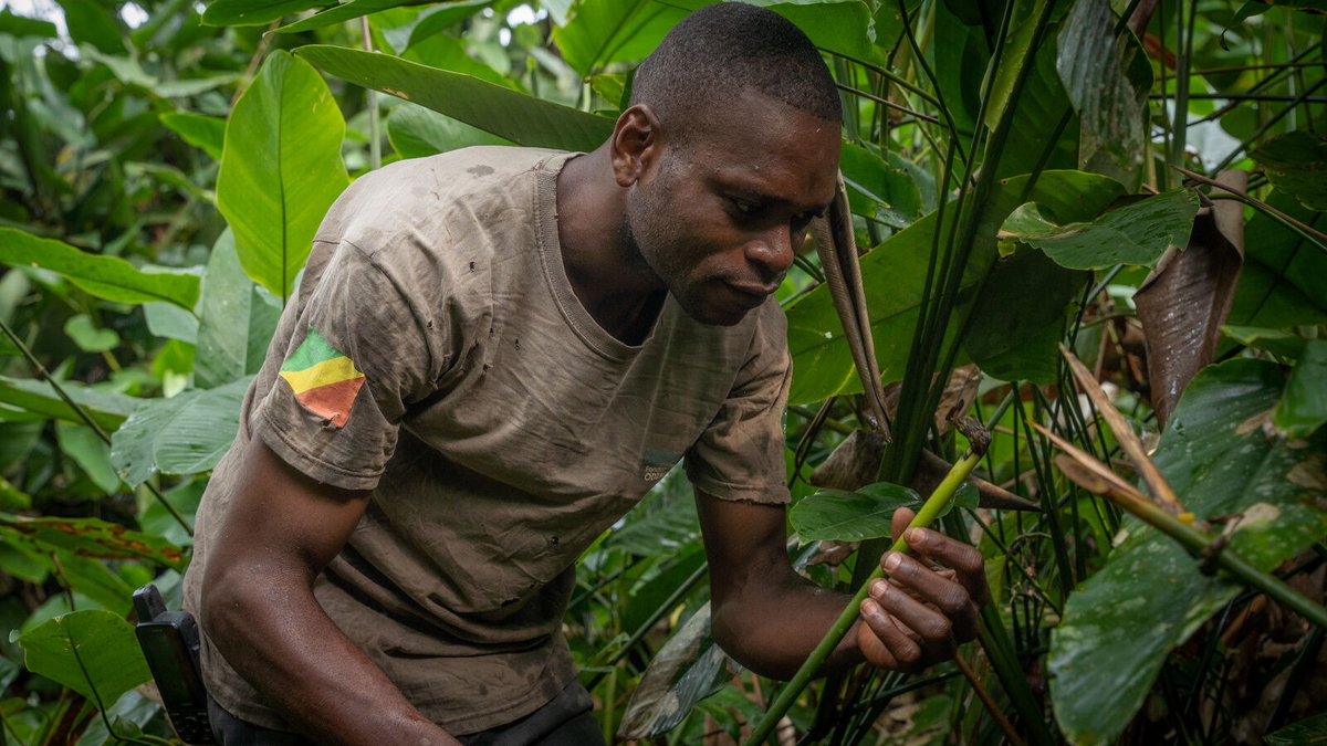 African Parks tweet media