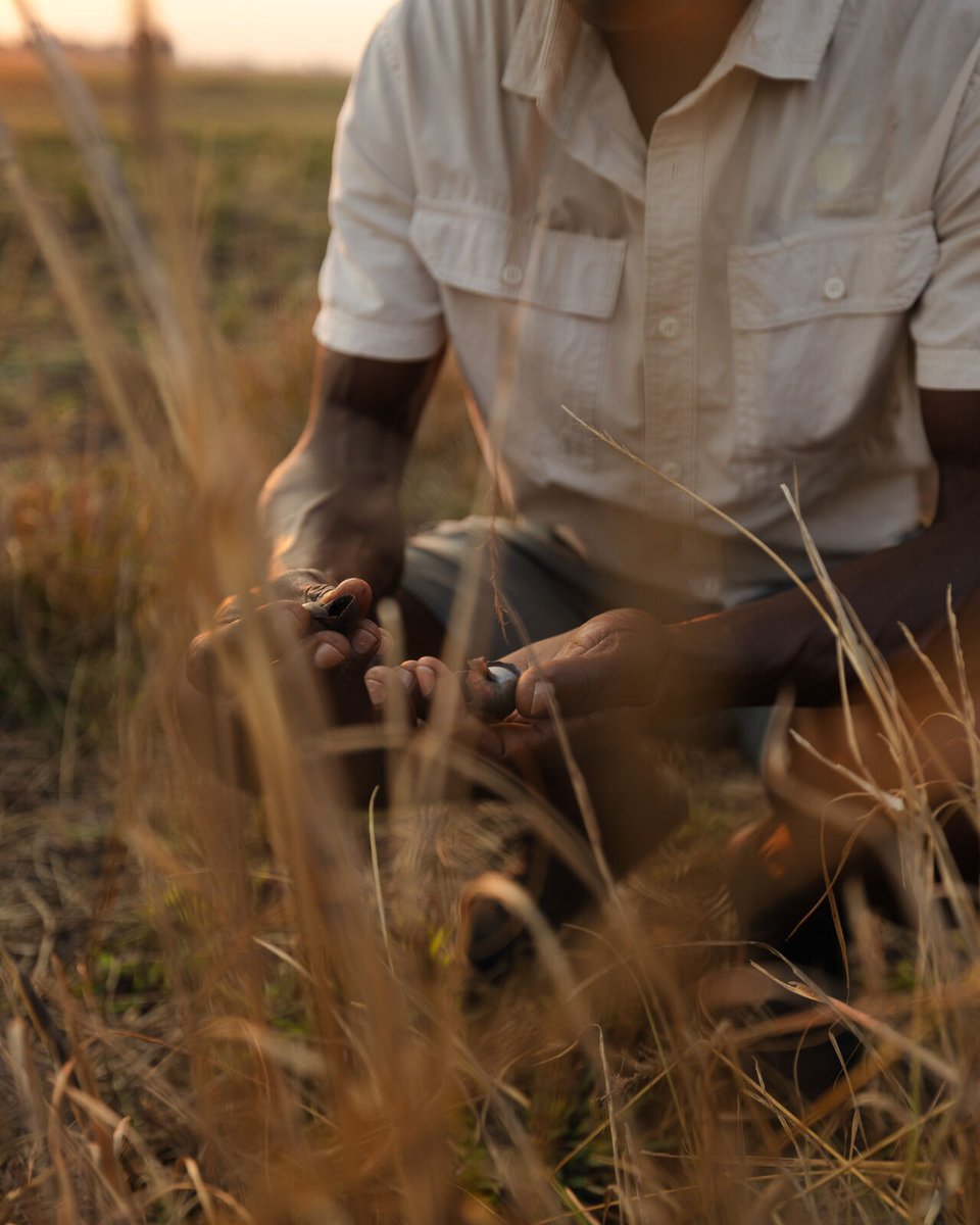 African Parks tweet media