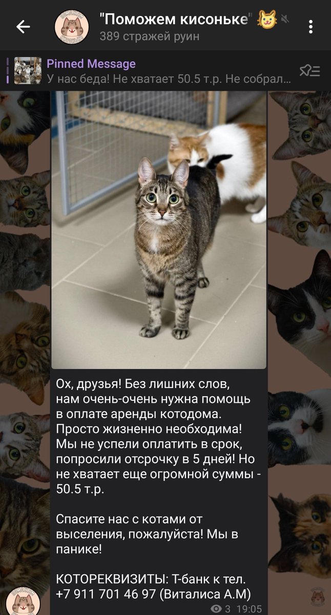 bi_dont_exist's tweet photo. #котодобро

приютику ОЧЕНЬ нужна помощь с оплатой аренды!!

КОТОРЕКВИЗИТЫ: Т-банк к тел. +7 911 701 46 97 (Виталиса А.М) https://t.co/j2snzmHAqH