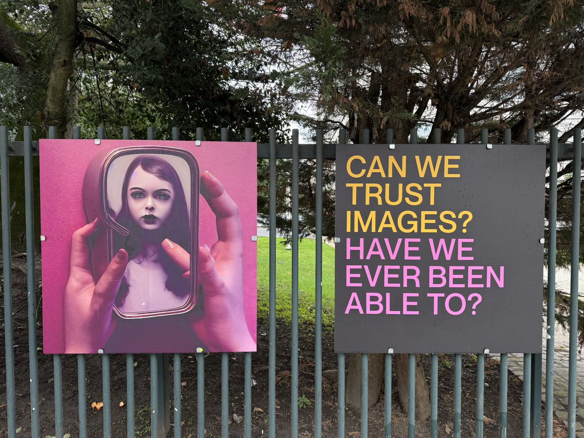 Sean Stillmaker tweet media