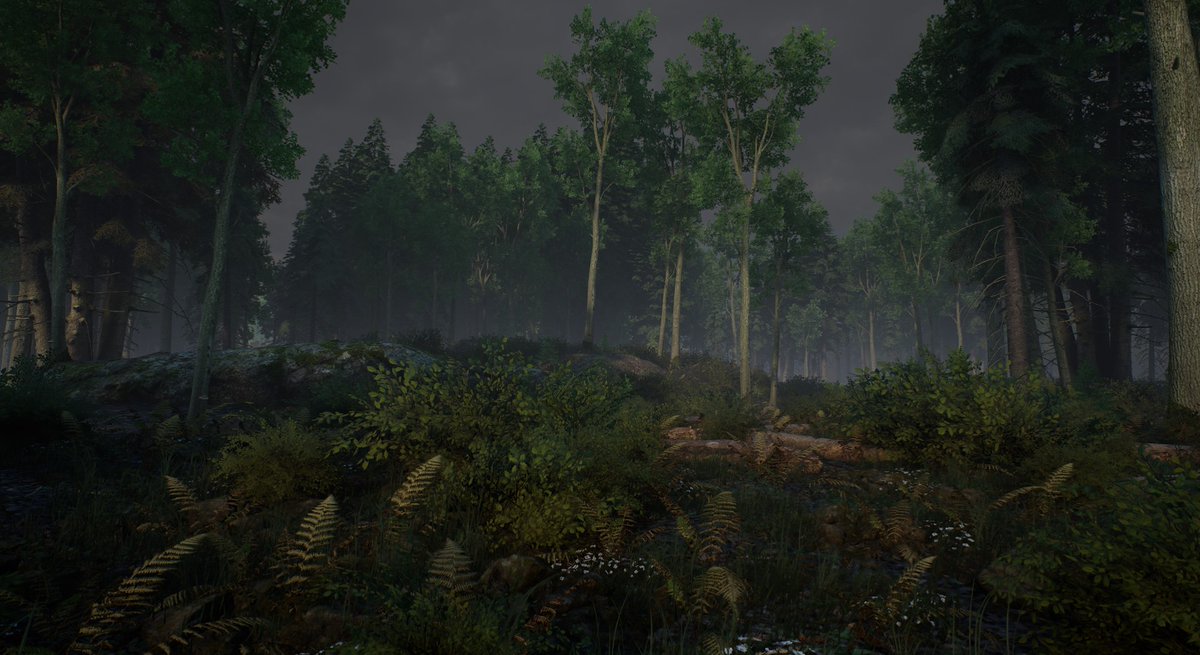 Andrei Ghenoiu tweet media