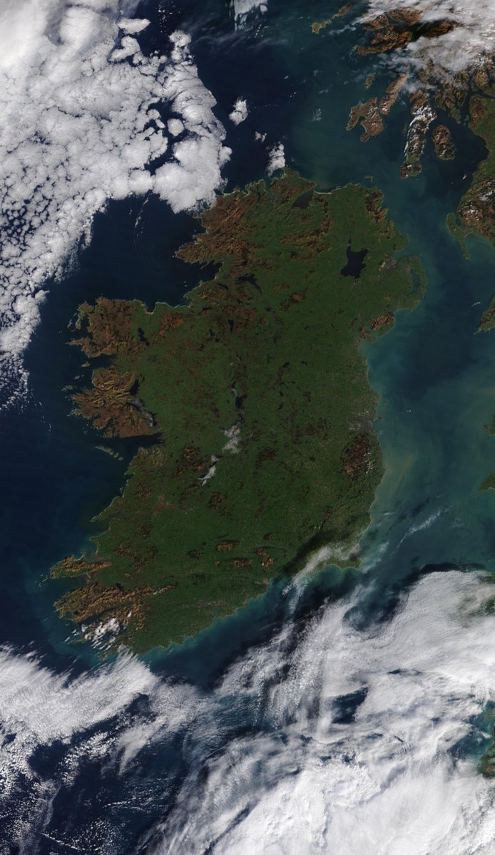 Barra Best tweet media