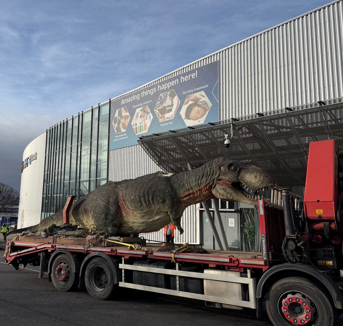 HitsNEnews's tweet photo. Two dinosaurs have caused a bit of a stir in Newcastle today!

( 📸: Life Science Centre)

https://t.co/gUkmotXFca https://t.co/OrbXf7Tx8h