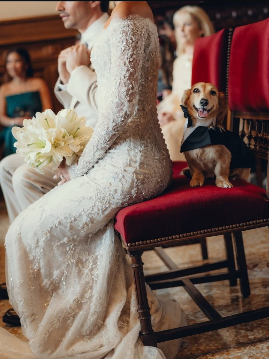 lo que sueño justo 2 minutos antes de despertarme