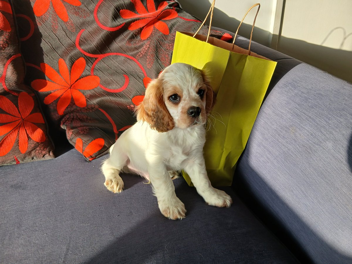 Leeds Fella : Slava Ukraini 🇺🇦 🇬🇧🇨🇦🇲🇽🇪🇺 tweet media