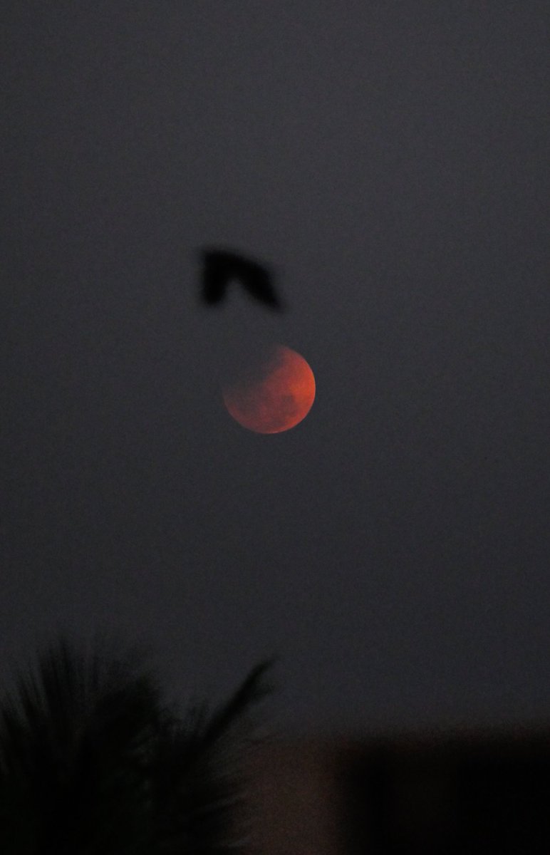 Johan Sathyadas tweet media