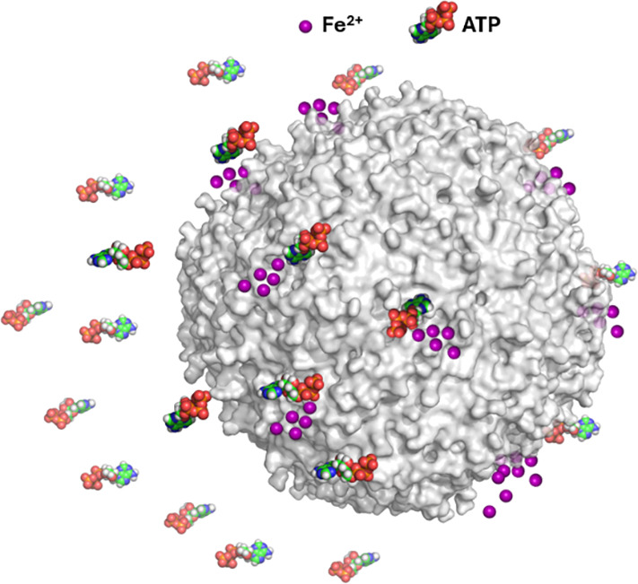 Kihara Laboratory tweet media