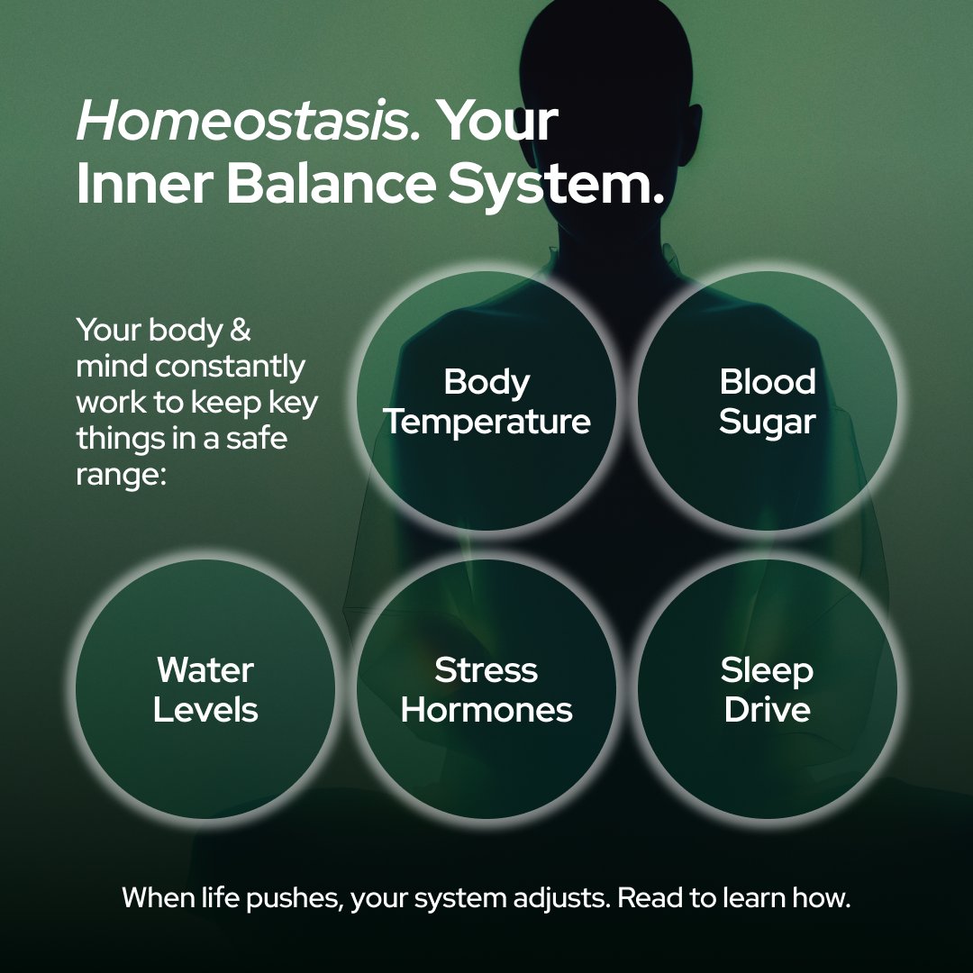 Pulsetto tweet media