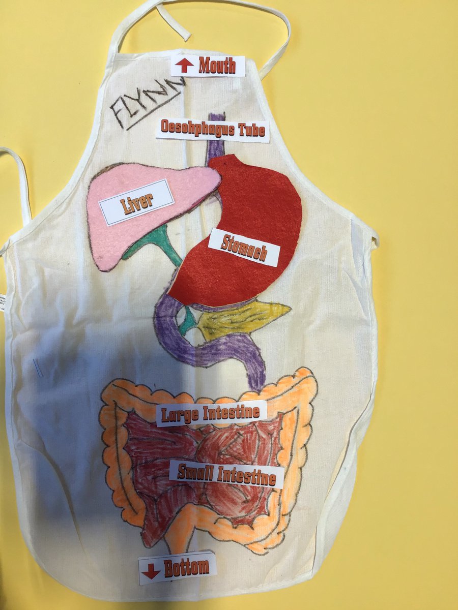 Rotherhamcreat2's tweet image. A brilliant afternoon at Trinity Croft Primary School with year 4 children and families. We have been exploring the Digestive System. We have designed and created a digestive system apron and we did a digestive experiment too.  #fabulousfamilies #learningtogether #humanbody