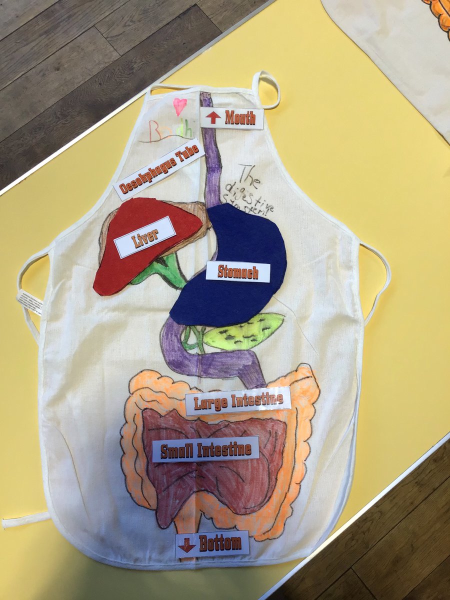 Rotherhamcreat2's tweet image. A brilliant afternoon at Trinity Croft Primary School with year 4 children and families. We have been exploring the Digestive System. We have designed and created a digestive system apron and we did a digestive experiment too.  #fabulousfamilies #learningtogether #humanbody