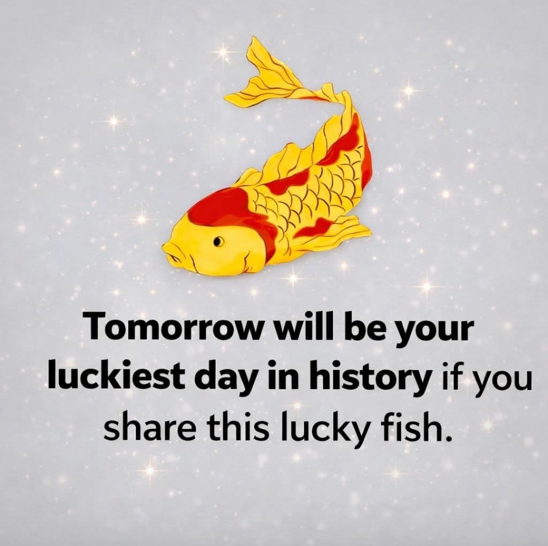 Law_of_attraction tweet media