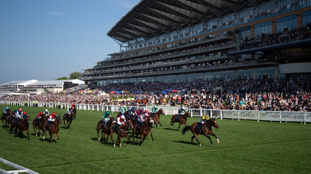 Racing Post Bloodstock tweet media