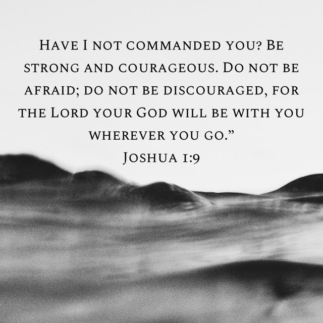 TheBeardedSquatch tweet media