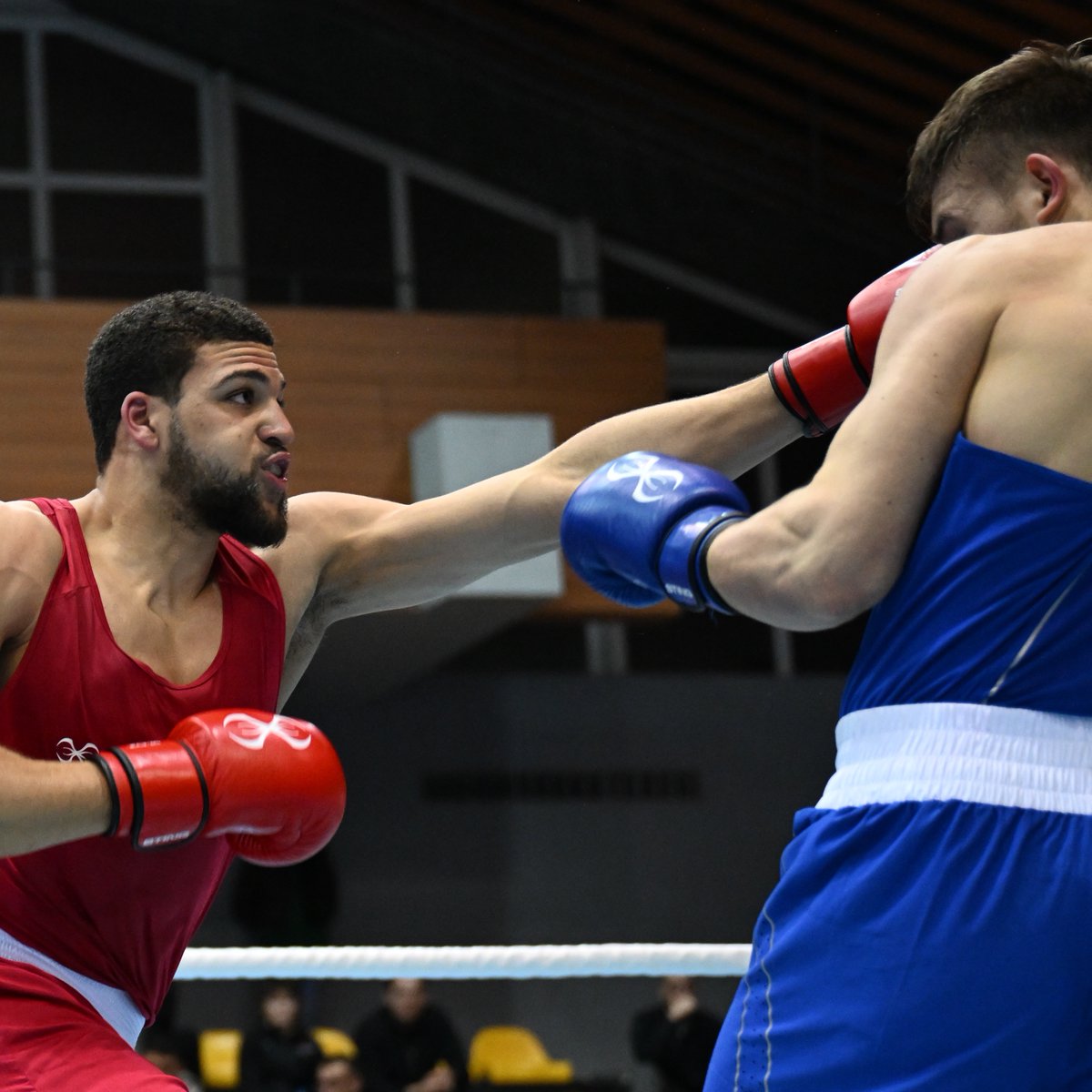 gbboxing's tweet photo. 📰 | NEWS: Golds for Chantelle Reid and Damar Thomas as GB Boxing wins six medals at Strandja tournament in Bulgaria

For the full story, click below ⤵️

https://t.co/8K4Lhxdxpo https://t.co/vBKNfmQArl