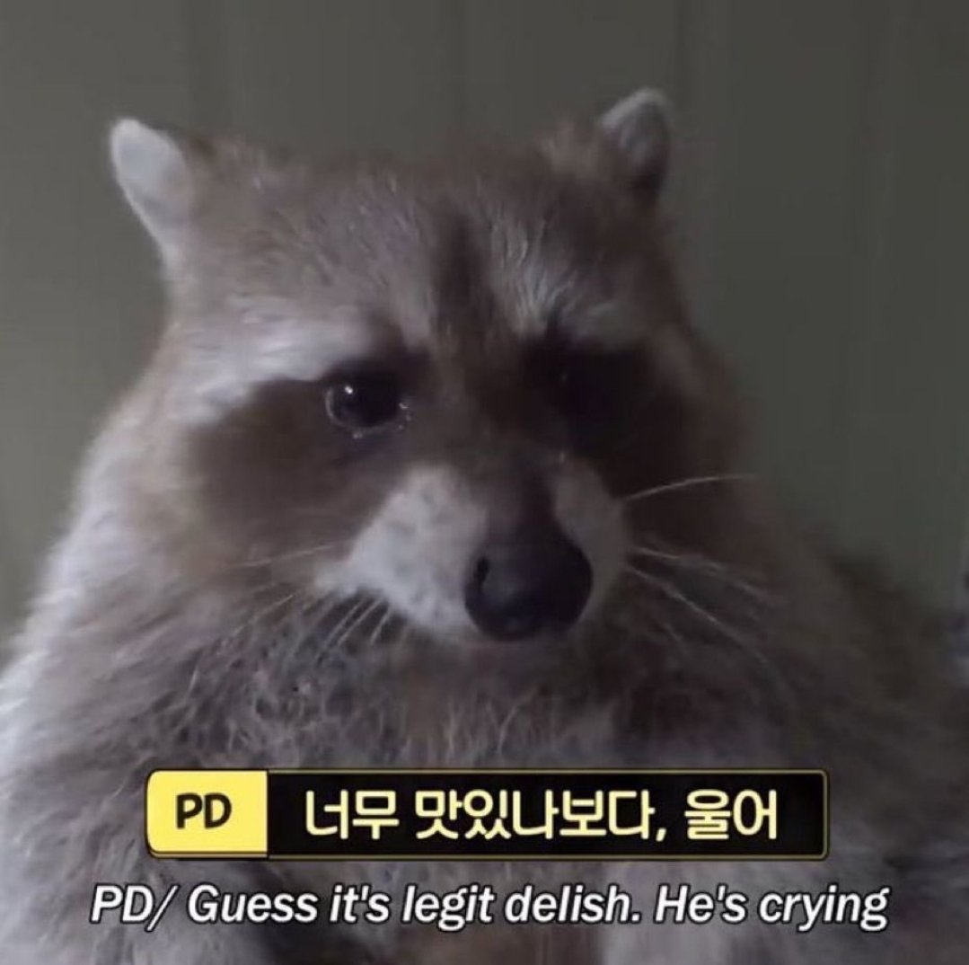 ㄹㅓㄹㅓ tweet media