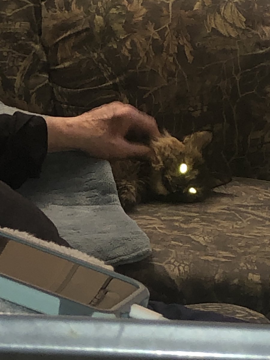 Yems grampa, petin mortal whilst I m undor tha heetin pab, it allllll comin 2 gather