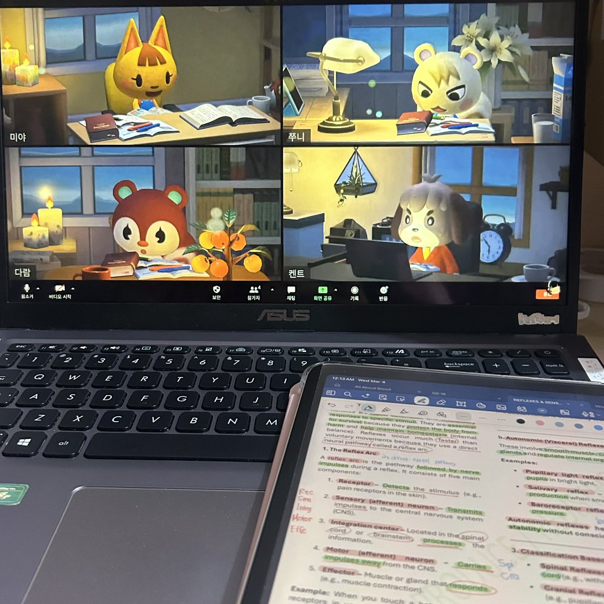 eki 𐙚 tweet media