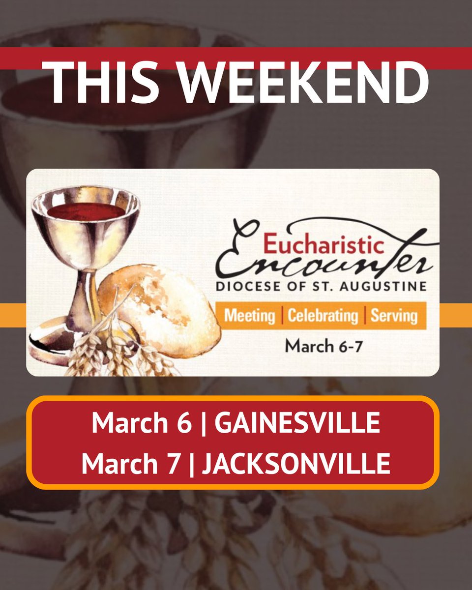 DOSA Catholics tweet media