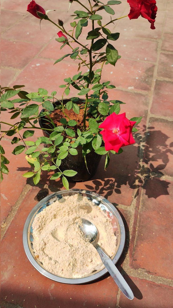 beautydiaries_'s tweet photo. 🪞🦋🦚🎀🥣 #february2026 #FEBDUMP https://t.co/YFkPBmAXiP