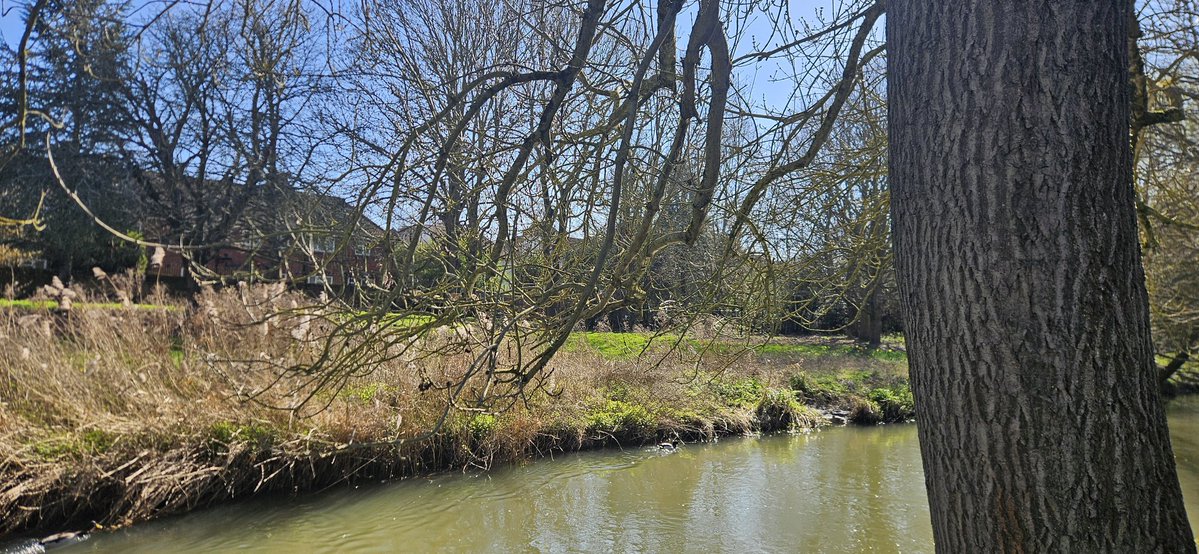 Vicky Newham / Izzie Harper. tweet media