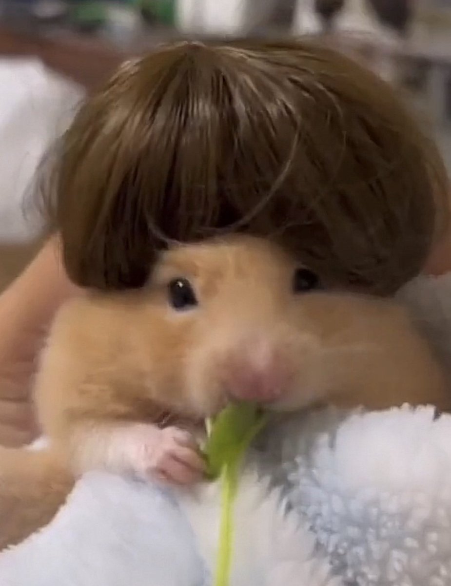 𝐁𝐀𝐍𝐊𝐀𝐈乄 tweet media