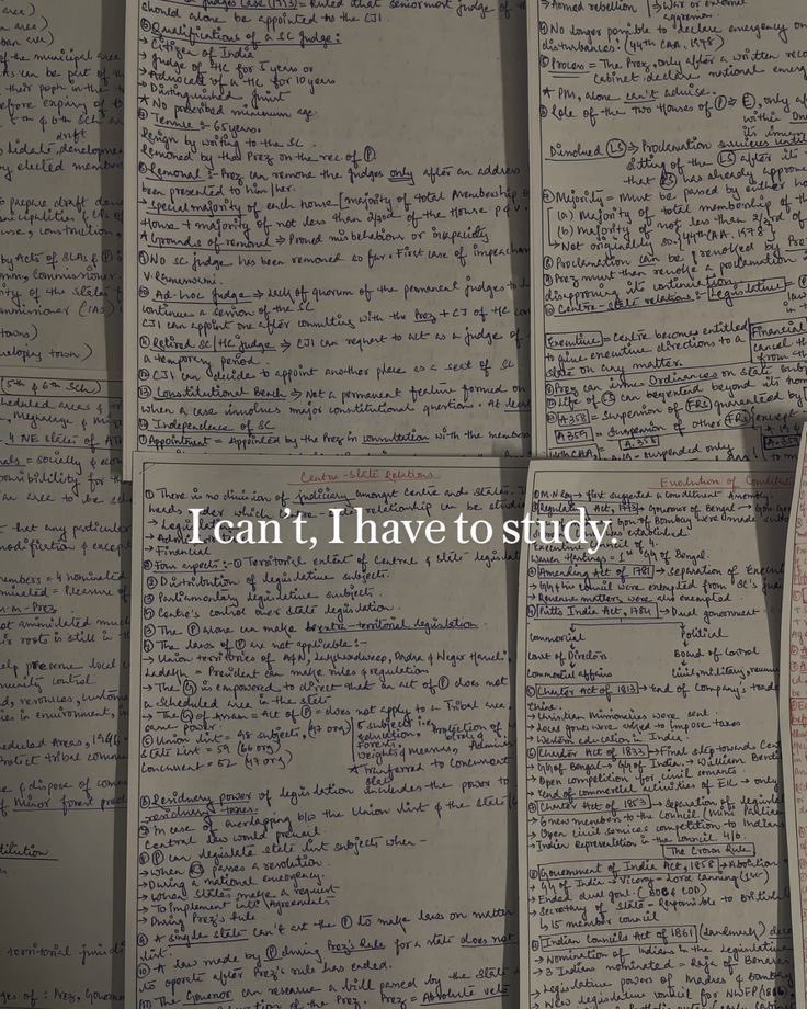 femmenotes tweet media