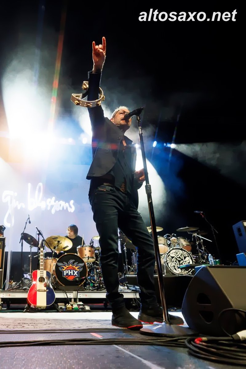 ALTOSAXO tweet media