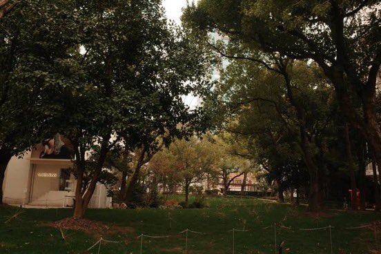 Ms. Pupu tweet media