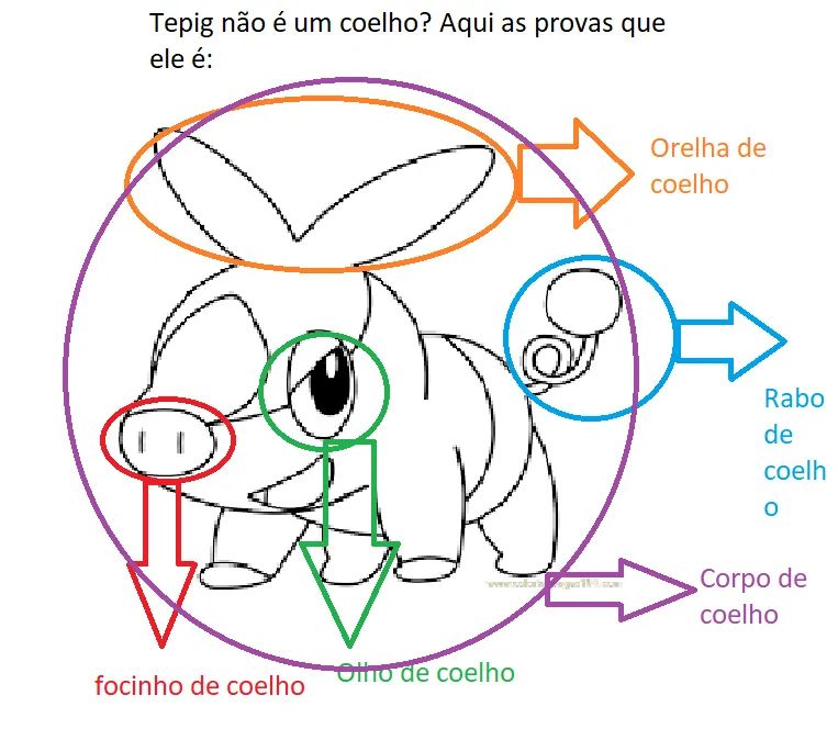 SpinllaMila's tweet photo. não deixa eles saberem sobre o tepig coelho https://t.co/IWJLZfAnte