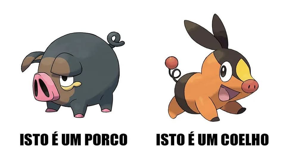 SpinllaMila's tweet photo. não deixa eles saberem sobre o tepig coelho https://t.co/IWJLZfAnte