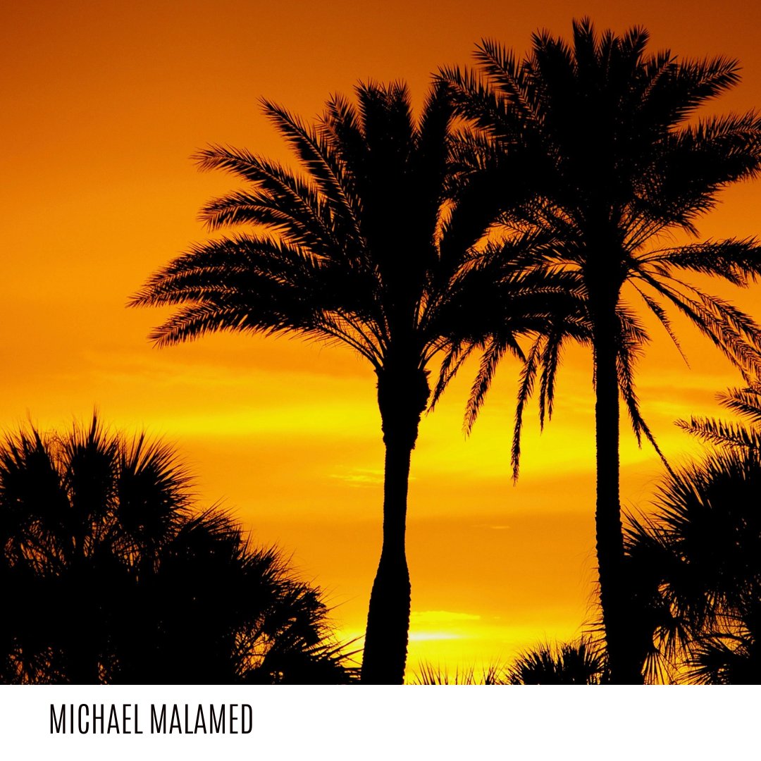 Michael Malamed tweet media