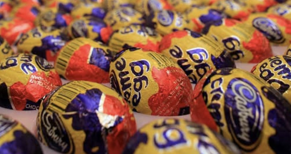 Mirror Weird News tweet media